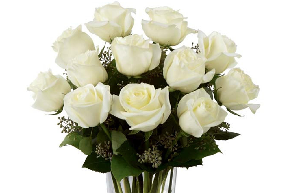 24 White roses